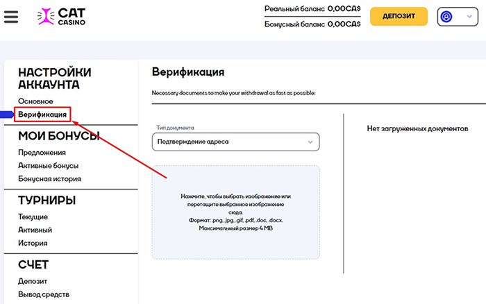 Для вывода средств и использования бонусов, обязательно прохождение верификации Поле верификации